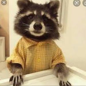 Meet your Posher, Dani